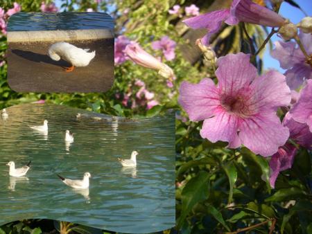 Parque de la Ciutadela